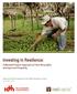 Investing In Resilience: A Blended Finance Approach to Farm Renovation and Improved Prosperity