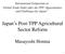 Japan s Post-TPP Agricultural Sector Reform