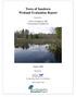 Town of Sandown Wetland Evaluation Report