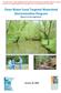 Clean Water Fund Targeted Watershed Demonstration Program Report to the Legislature