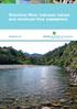 Waiohine River instream values and minimum flow assessment