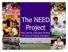 The NEED Project. Mary Spruill, Executive Director 29 Years of Energy Education