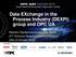 Data EXchange in the Process Industry (DEXPI) group and OPC UA