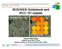 MOE/NIES Guidebook and. IPCC TFI Update