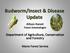 Budworm/Insect & Disease Update