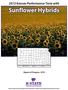 2012 Kansas Performance Tests with. Sunflower Hybrids. summer fallow dryland irrigated. Report of Progress 1078