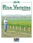 Rice Varieties. & Management Tips