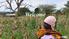 SMALLHOLDER FARMERS IN TANZANIA. A Re-Look at the CGAP National Survey and Segmentation of Smallholder Farmers