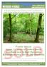 SOLD. Frater Wood. Speen, 3.7 acres of Chiltern Beech woodland near to High Wycombe, Buckinghamshire, for 43,000 (freehold)