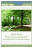 Monk Wood Speen, 3.17 acres of Chiltern Beech woodland near to High Wycombe, Buckinghamshire, for 47,000 (freehold)