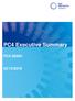 PC4 Executive Summary PC4 SD001