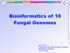 Bioinformatics of 18 Fungal Genomes