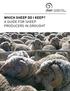 WHICH SHEEP DO I KEEP? A GUIDE FOR SHEEP PRODUCERS IN DROUGHT