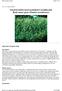 VEGETATION MANAGEMENT GUIDELINE Reed canary grass (Phalaris arundinacea)