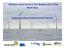 Offshore wind farms in the Belgian part of the North Sea: Understanding environmental impacts