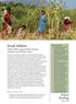Small Millets Small millets, big potential: diverse, nutritious and climate smart