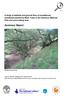 A study of habitats and ground flora in broadleaved woodlands planted by Moor Trees in the Dartmoor National Park and surrounding area