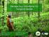 Manage Your Woodlands For Songbird Habitat
