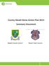 County Meath Noise Action Plan 2013 Summary Document