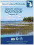 ADAPTATION. Great Lakes Wetlands. Climate Change. Lesson #1. Lesson 1-1