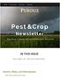 Pest & Crop. Newsletter IN THIS ISSUE. Purdue Cooperative Extension Service. Insects, Mites, and Nematodes. Home Current Year Past Years Subscribe