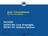 Data Transmission Item 8 of the agenda Eurostat ESTAT-B5: Luca Gramaglia ESTAT-F5: Giuliano Amerini
