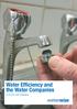 Water Efficiency and the Water Companies a 2010 UK Review