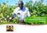Frequently Asked Questions on Bt Cotton in Kenya