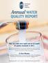 Annual WATER QUALITY REPORT. Your tap water once again met or exceeded all quality standards in 2017