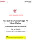 Oxidative DNA Damage Kit Quantitative