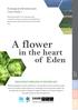 A flower EDEN DISTRICT MUNICIPALITY, WESTERN CAPE