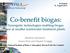 Co-benefit biogas: Synergistic technologies enabling biogas use at smaller wastewater treatment plants. Stephan Heubeck, Jason Park and Rupert Craggs
