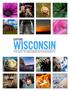 Capture Wisconsin An online community seeking the best of Wisconsin in photography.