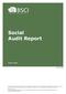 Social Audit Report. January 2009 BSCI 7-01/09