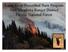 Rapid River Prescribed Burn Program New Meadows Ranger District Payette National Forest