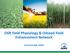 OSR Yield Physiology & Oilseed Yield Enhancement Network. Sarah Kendall, ADAS
