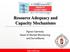 Resource Adequacy and Capacity Mechanisms Ágnes Csermely Head of Market Monitoring and Surveillance