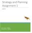 Strategy and Planning Assignment 1