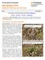 IPM NEWSLETTER Update for Field Crops and Their Pests