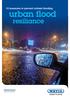 10 measures to prevent (urban) flooding. urban flood. het. resiliance