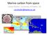 Marine carbon from space. Jamie Shutler, University of Exeter, UK