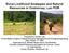 Rural Livelihood Strategies and Natural Resources in Oudomxay, Lao PDR