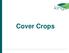 Cover Crops. Why are we interested in these?