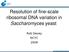 Resolution of fine scale ribosomal DNA variation in Saccharomyces yeast