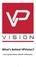 What s Behind VPVision? next generation vehicle telemetry V 1.0
