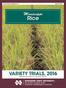 Information Bulletin 517 March Mississippi. Rice VARIETY TRIALS, 2016 MISSISSIPPI S OFFICIAL VARIETY TRIALS