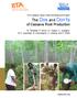The Dos and Don ts of Cassava Root Production