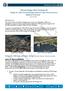 Winona Bridge Work Package #6. Options Overview