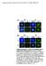 Supplemental Data. Ohnishi et al. Plant Cell. (2010) /tpc anti-lci1 NH 4+ NO 3- DAPI IF DAPI IF