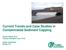 Current Trends and Case Studies in Contaminated Sediment Capping